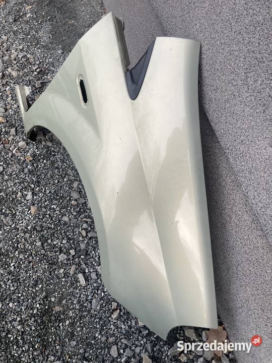 Blotnik grande punto 783A osobowe Kozy