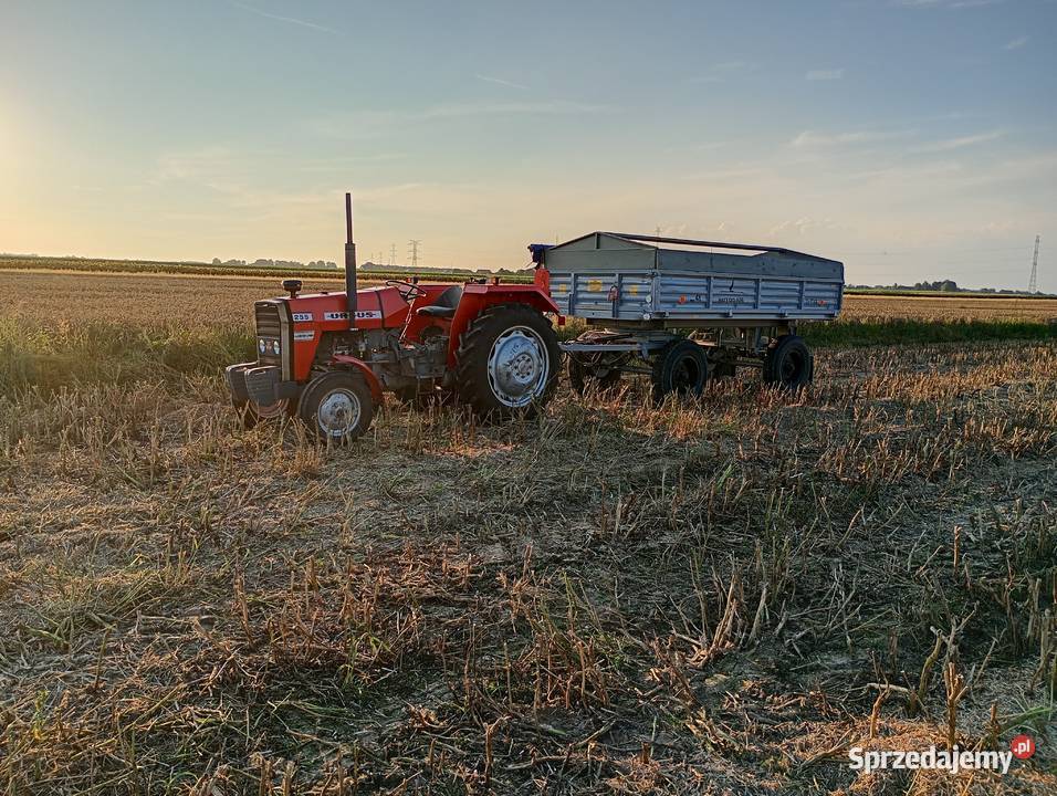 Massey Ferguson MF 255 Ursus Łęczna sprzedam