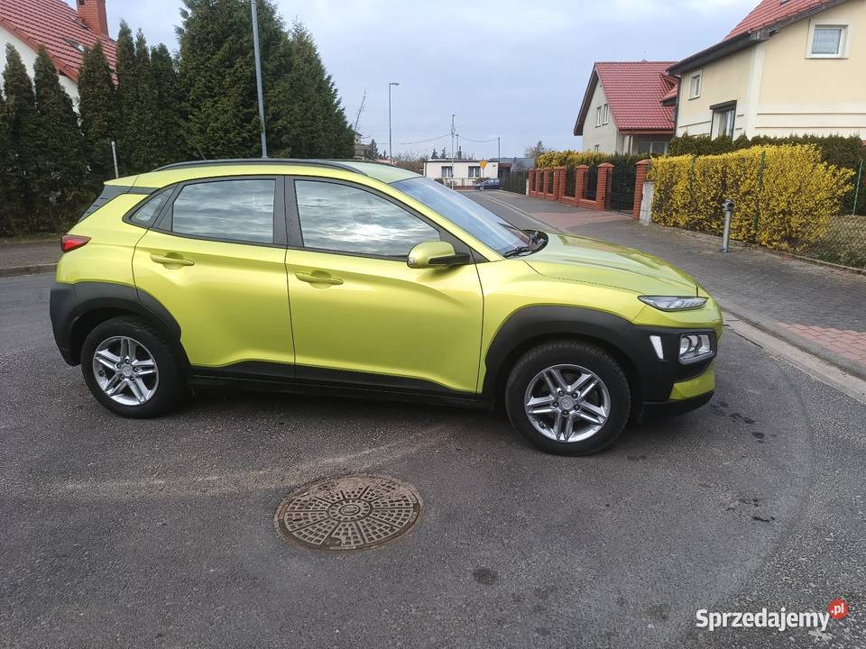 Hyundai kona wielkopolskie Gniezno