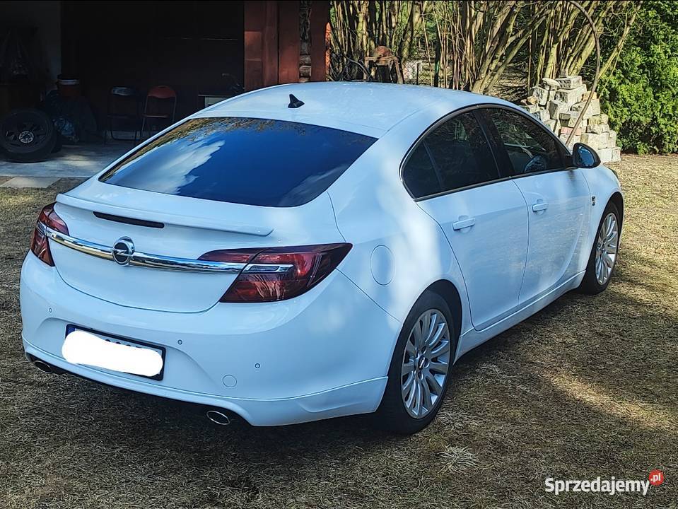 Opel Insignia 20 CDTI 195 BiTurbo OPC Online Hatchback małopolskie Podlipie