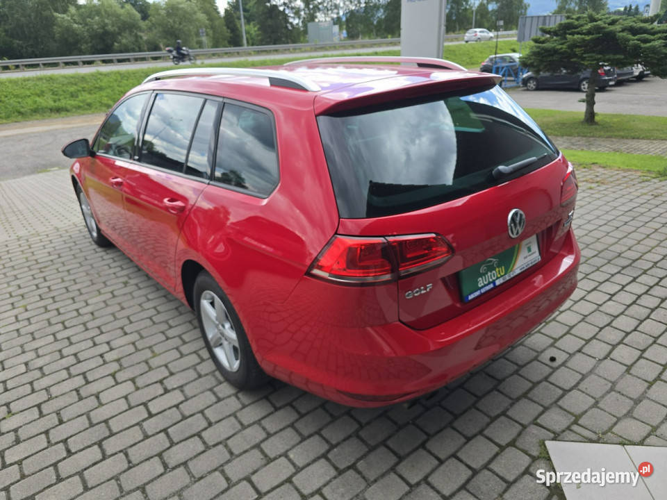 Volkswagen Golf Variant 14 TSI Allstar pełny Ustroń