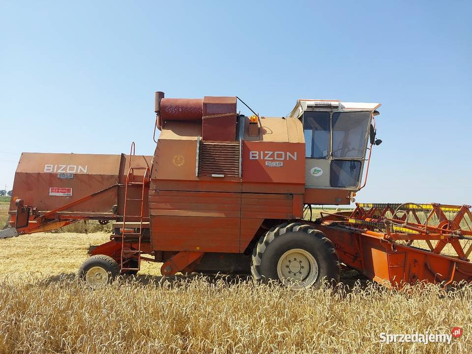 Bizon rekord czeski export Piotrków Trybunalski