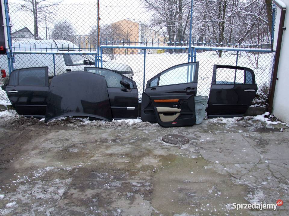 drzwi lewe tylne Renault Vel Satis Bydgoszcz