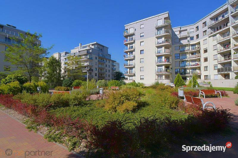 wynajmu mieszkania 53m2 2 pokoje Wrocław blok sprzedam