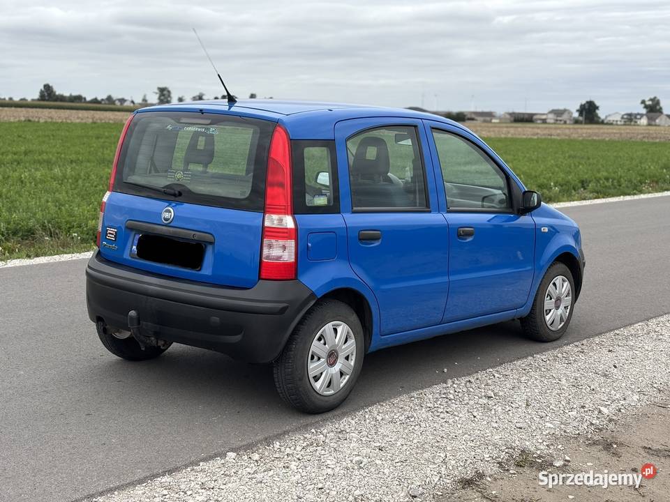 Fiat Panda 11 Benzyna Bez Rdzy Niski Przebieg Witowo