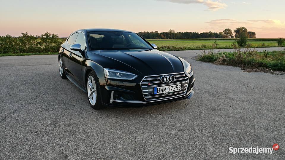 2019 Audi S5 Prestige podlaskie Czyżew