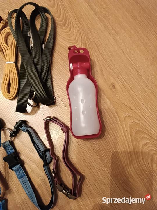Zestaw smyczy obrożyszelek i butelka psa Szczyrk