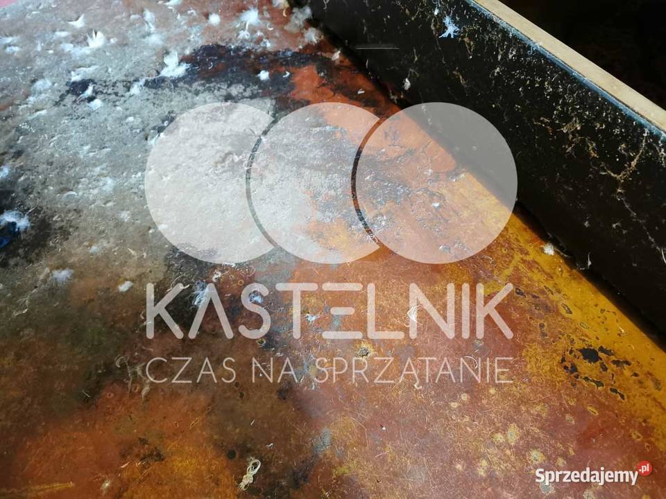 Dezynfekcja i sprzątanie zgonach Czchów