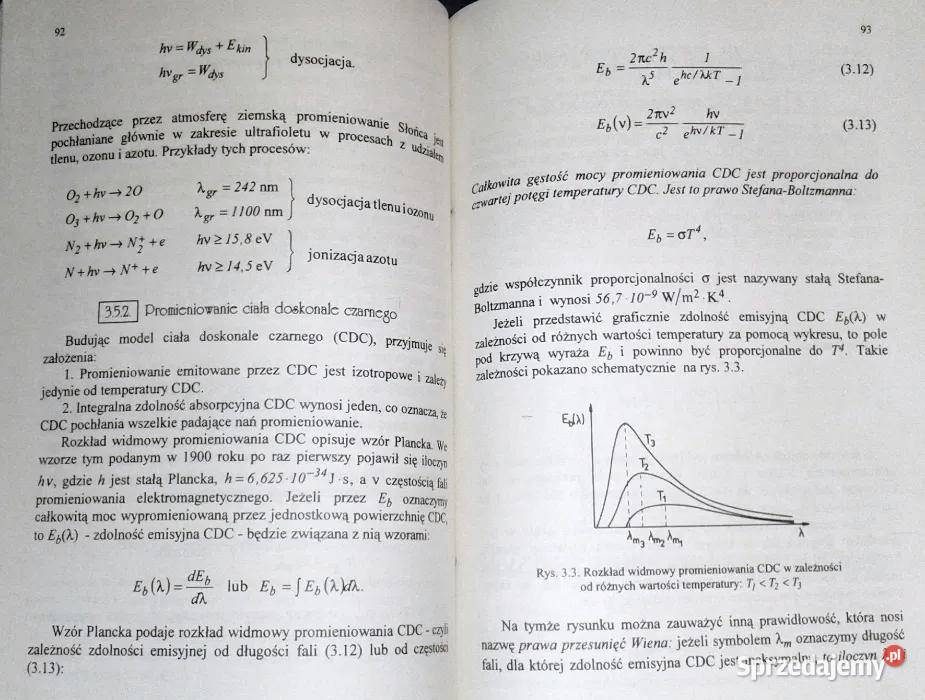 Elementy fizyki menedżerów Janina HaładyjRóżak