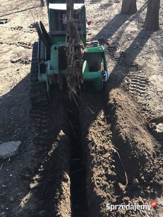 GĄSIENICOWA Koparka łańcuchowa DITCH WITCH C16X