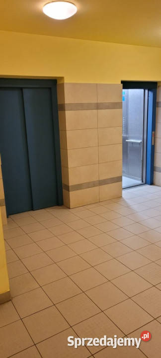 Mieszkanie 45 m2 plus schowek 15 m2 na wynajem Warszawa