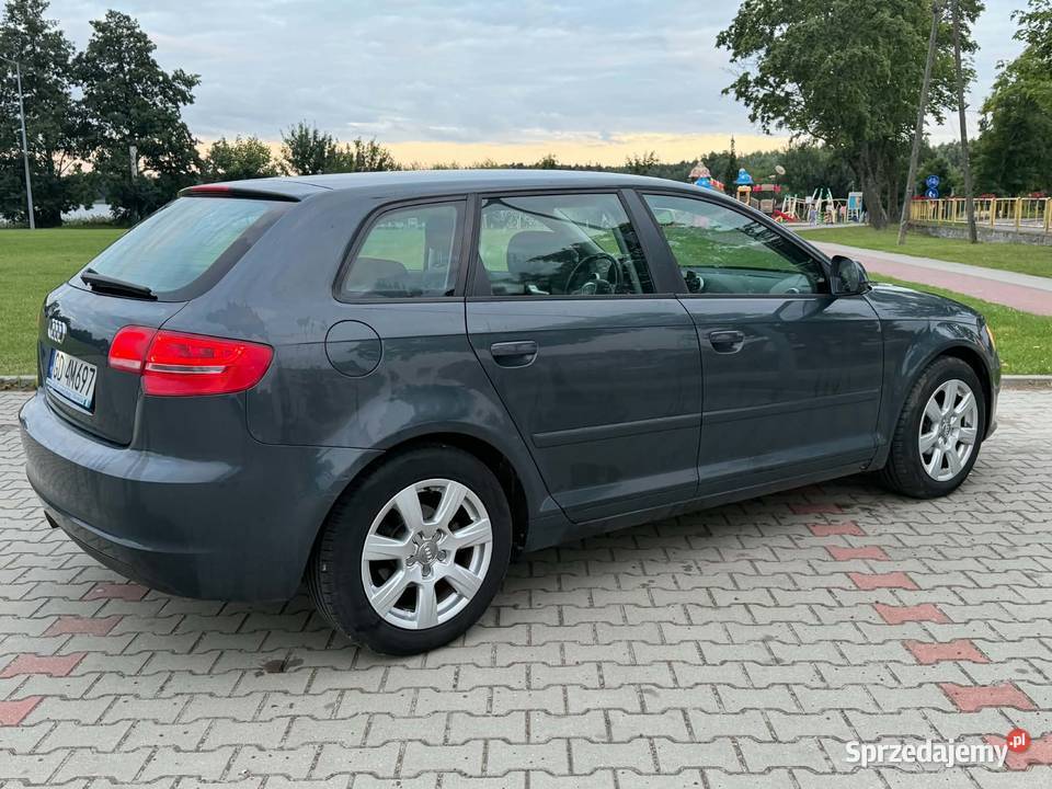 Audi A3 8P Sportback 19 TDI 105 2009r Diesel Malbork sprzedam
