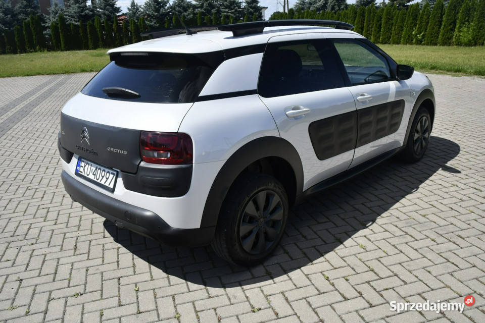 Citroen C4 Cactus 16hdi DUDKI11 immobilizer Kutno