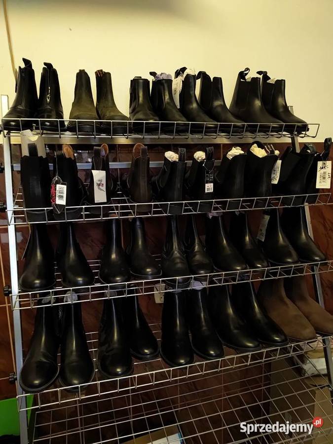 CZAPSY COVALIERO XL Kazanów