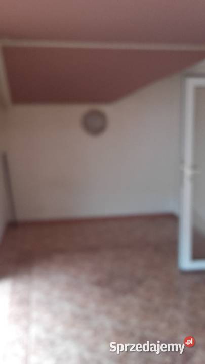 dam na wynajem Ostrów wlkp