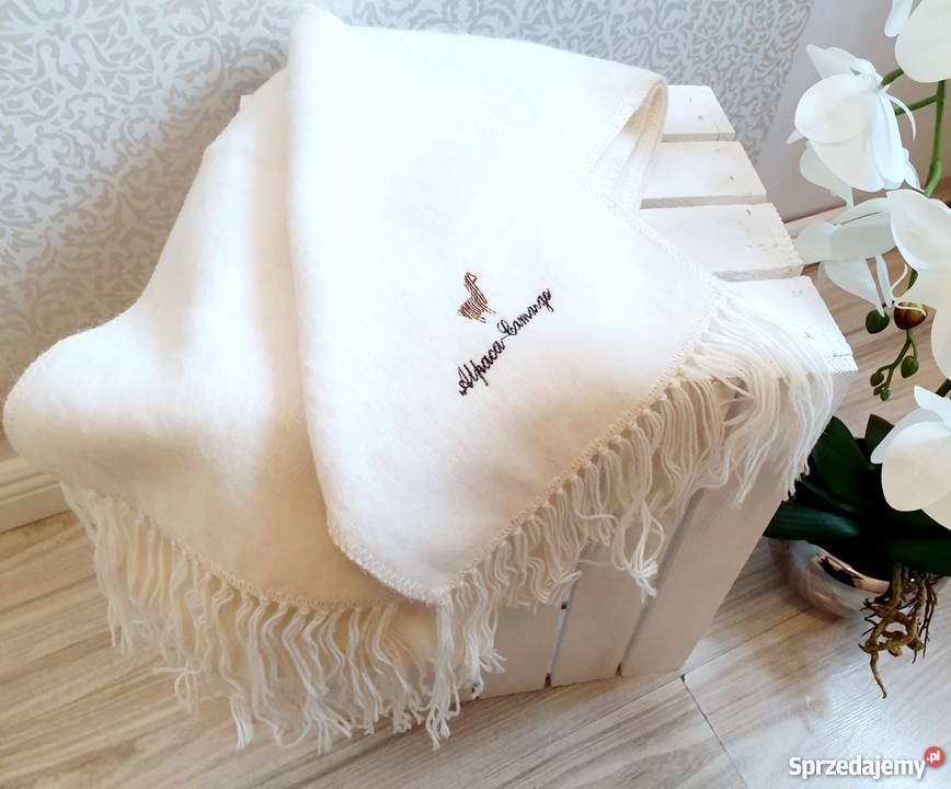 Szalik Alpaca Camargo szal z wełny Alpaki made Warszawa sprzedam