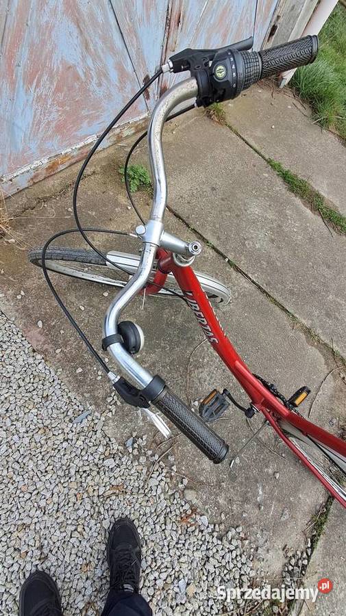 Rower damski Liibertas Nysa