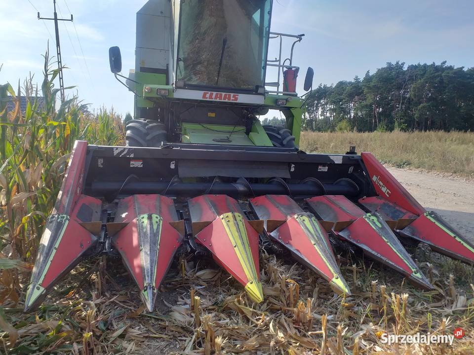 Przystawka do kukurydzy Olimac Drago 2 2012r 5 Turek sprzedam