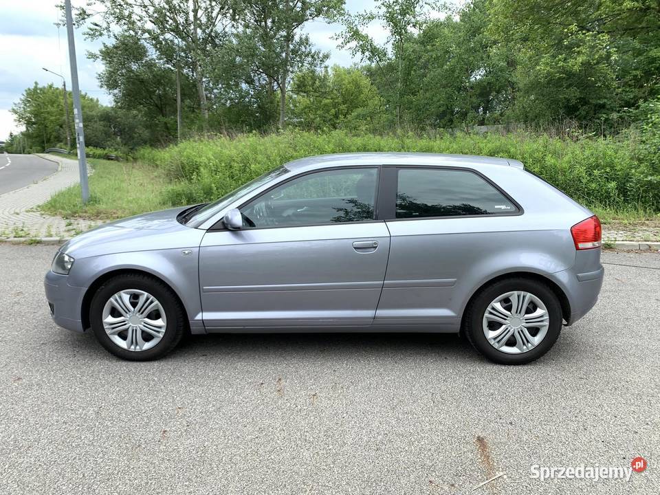 Audi A3 8P 19 TDI 105 BEZ DPF Jaworzno