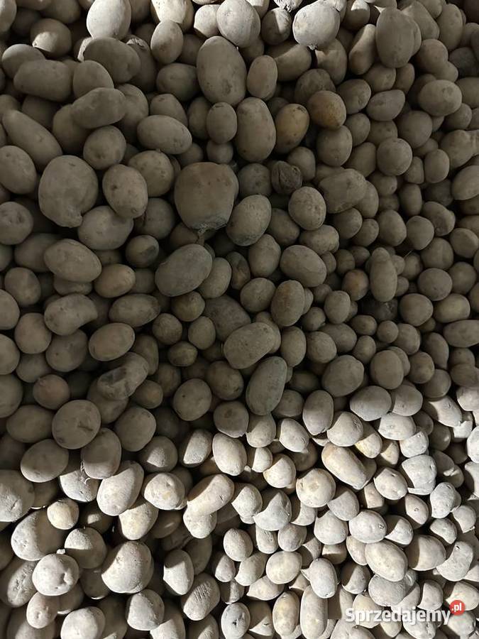 Sprzedam ziemniaki odpadowe sprzedam