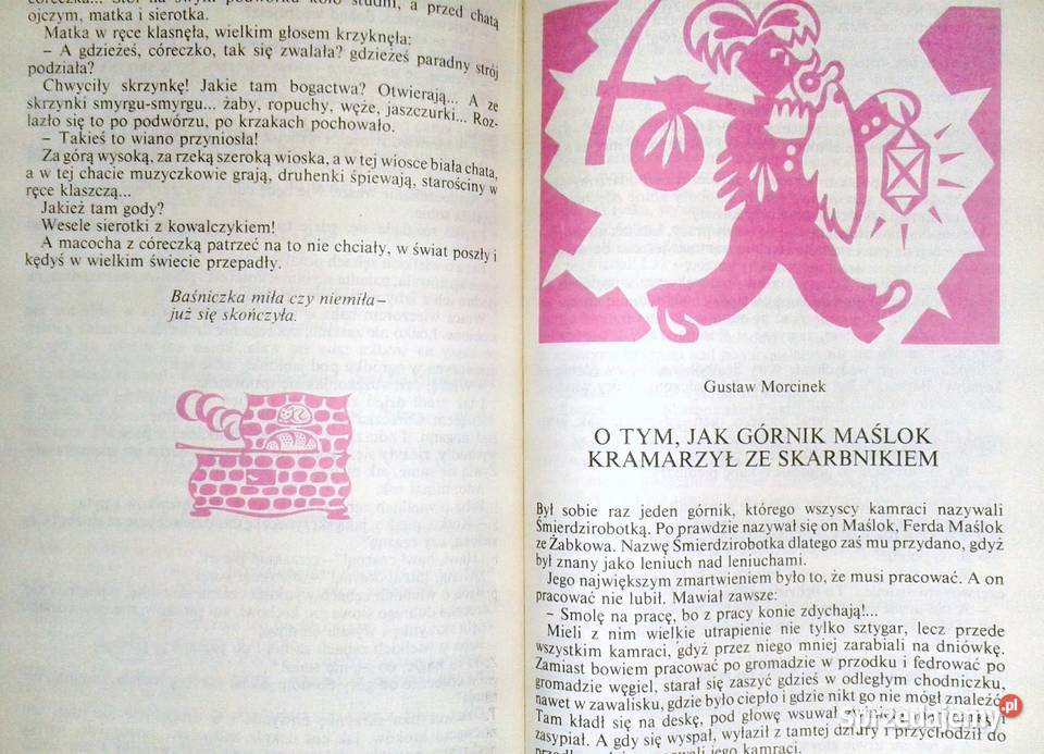 Kwiat paproci i inne baśnie polskie Hanna