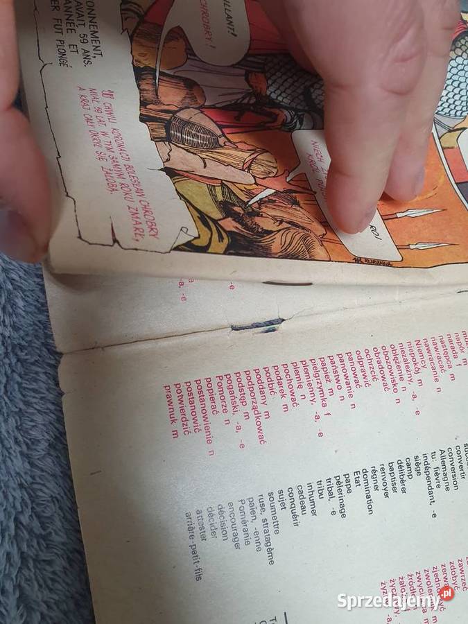 O Mieszku I i jego synu Bolesławie Chrobrym wyd1 Rok wydania 1981 pomorskie Gdynia