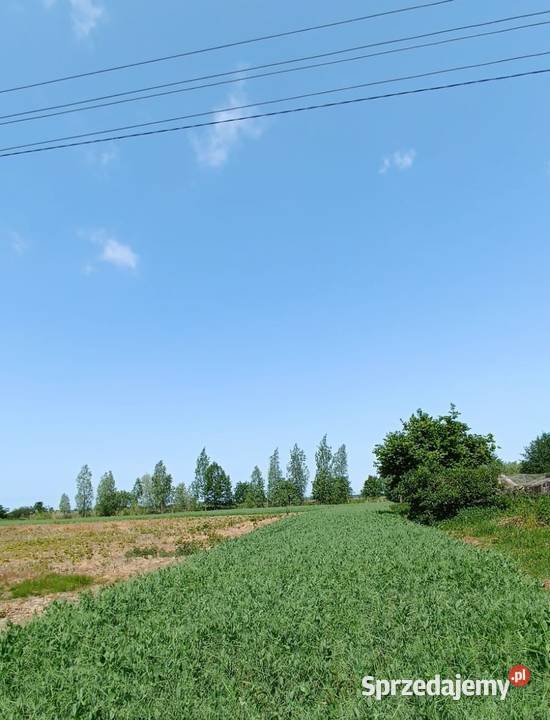 Groszkowo I Mierzeja Wiślana I działka pod 135zł/m2