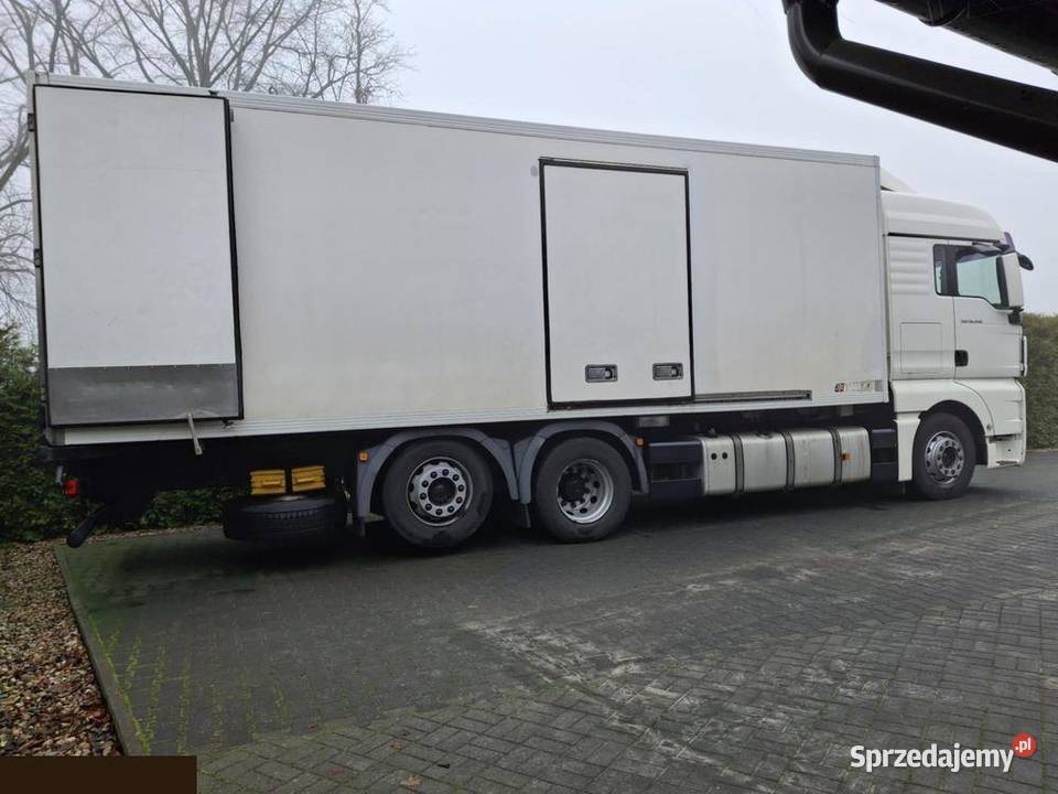 MAN TGX 26440 324 Chłodnia 2009r bezwypadkowy lubuskie Janczewo