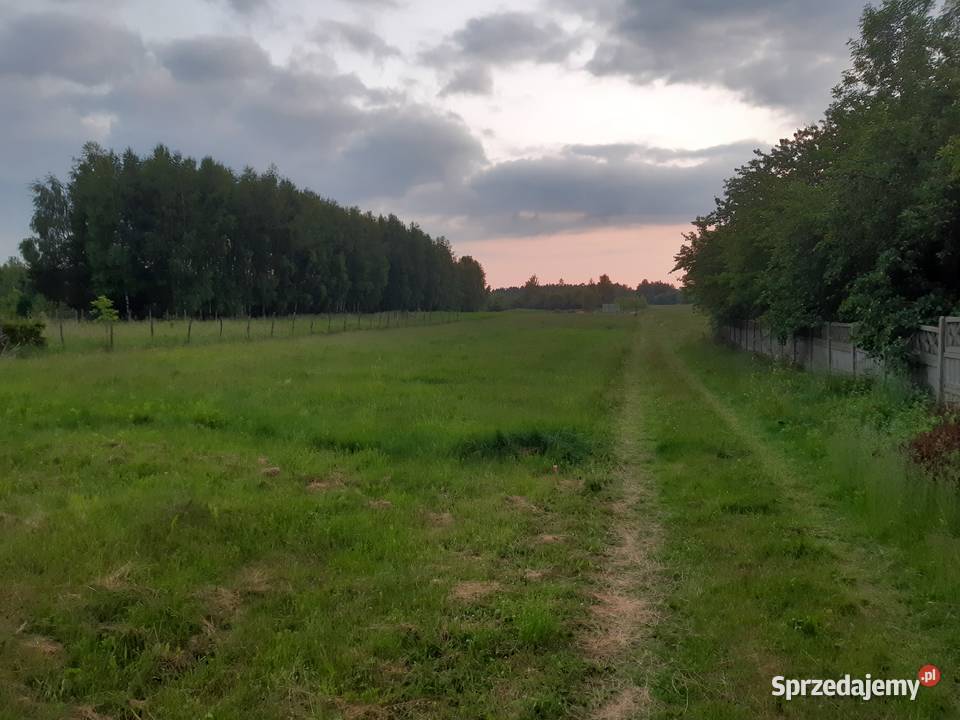 Sprzedam działki budowlane w Sadku 1000m2 70zł/m2 Szydłowiec sprzedam