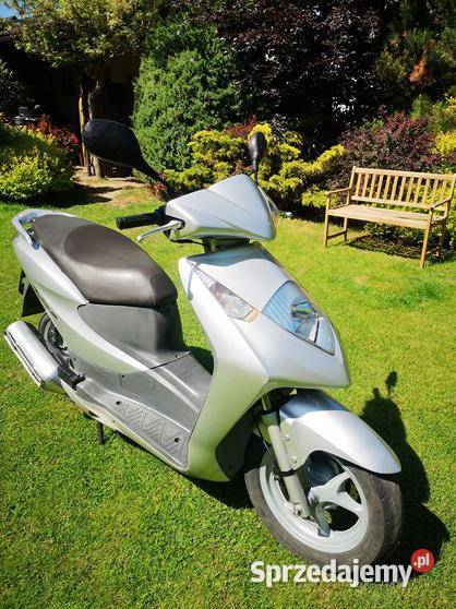 HONDA DYLAN 150 wielkopolskie Piła