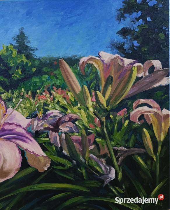 Obraz olejny liliowce kwiaty ogród Malarstwo Wojaszówka