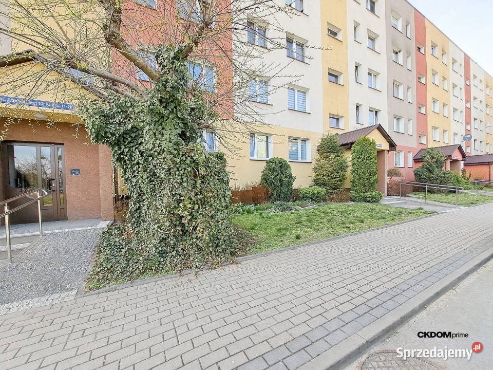 Okazja 2 Pokoje Michałów 5400m2 mazowieckie Radom