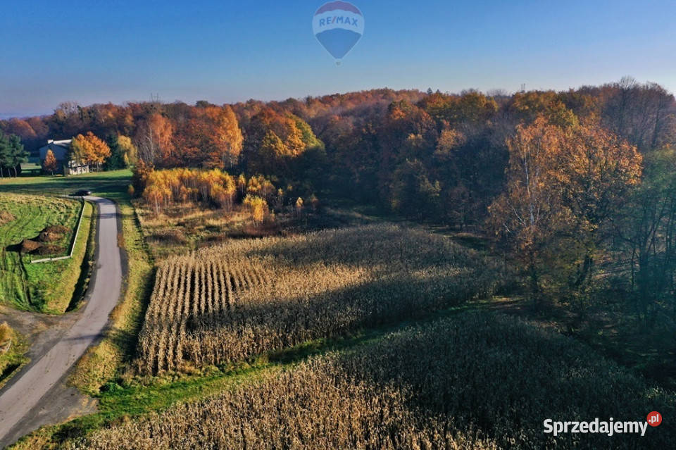 Grunt rolny do zabudowy Osiek sprzedam