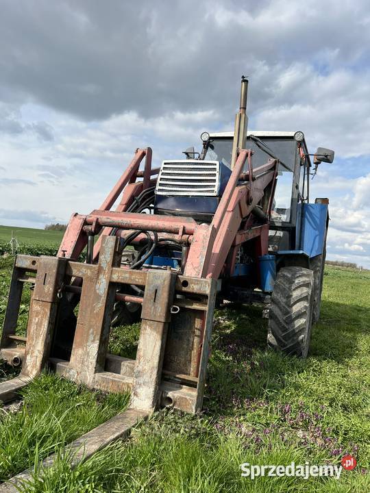 Zetor Cristal 8011 z Ładowaczem Wysokie sprzedam