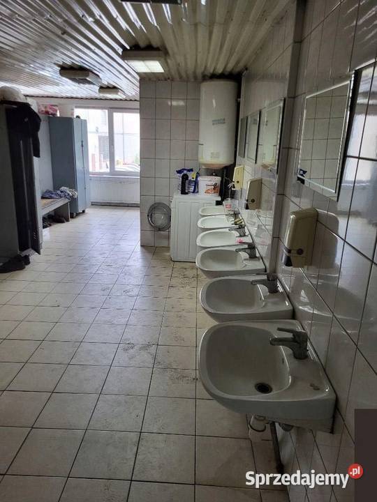 Halawarsztat samochodowy ciężaroweosobowe szybki Łódź