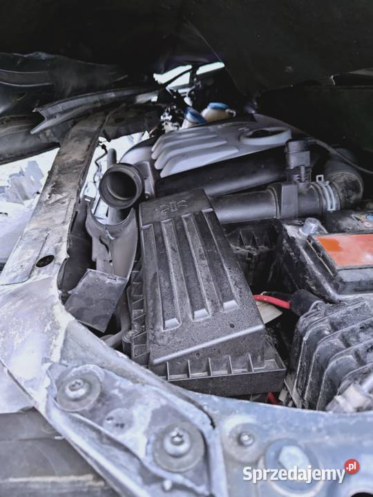 Turan w całości Sprzedam lubelskie Biłgoraj