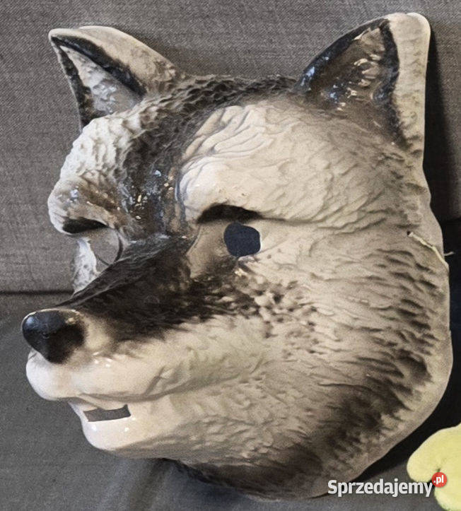 PLUSZAKI GANG Brokuł Tygrys Bauer Disney i inne wielkopolskie Poznań