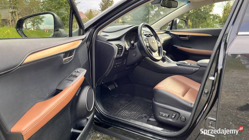 Lexus NX 300h Prestige AWD dolnośląskie
