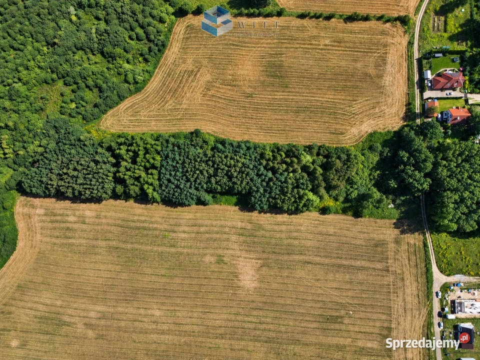 sprzedaży gruntu Zwierzewo 3124m2 sprzedam