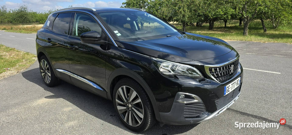 Peugeot 3008 II 2016 elektryczne lusterka Pleszew