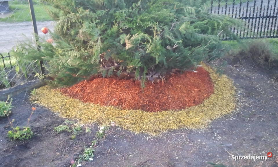 Zrębki drzewne do ściółkowania roślin mazowieckie Drobin