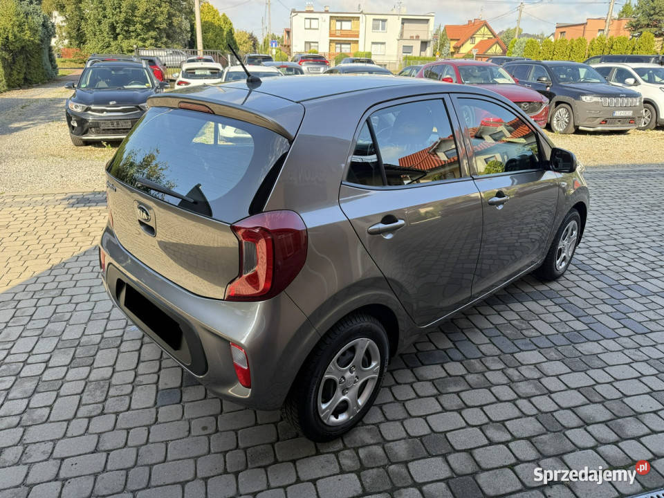 Kia Picanto 10 67 Klimatyzacja III 2017 światła do jazdy dziennej Orzech