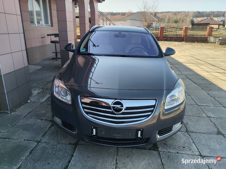 Opel Insygnia krem i brąz 20 Insignia świętokrzyskie Smyków