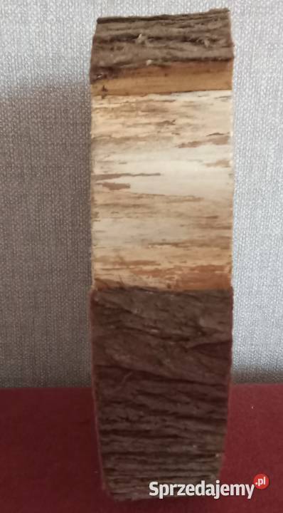 Duży krążek z naturalnego drewna brązowy sprzedam