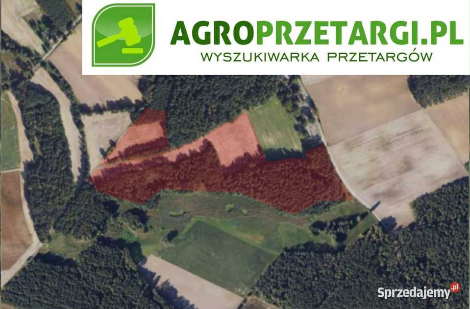 Dzierżawa 1983 ha gruntu rolnego Inowrocław
