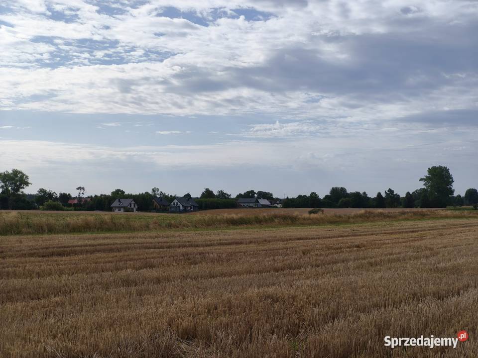 Ostatnie 3 działki Grunty i działki Kaczkowo