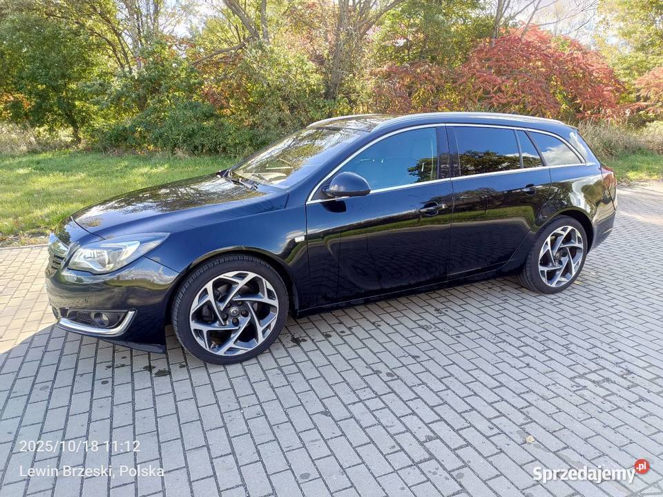 Opel Insignia 20CDTI Bi Turbo opolskie Ciepielowice