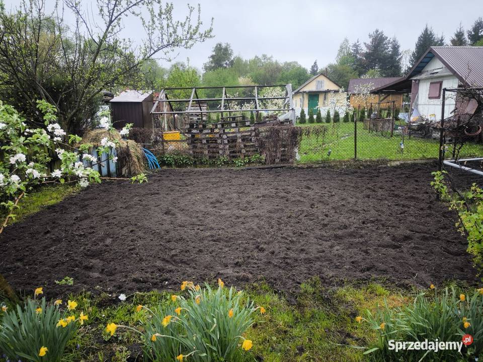 Działka Rod Wygon 6ar dużo nasadzeń kominek 31zł/m2 lubelskie Chełm sprzedam