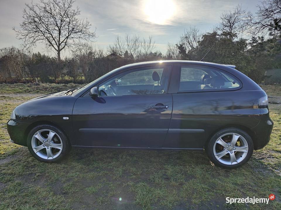Seat Ibiza III 2007 14 benzyna Ibiza Pawłowice