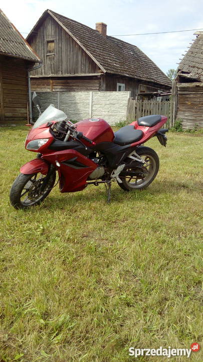 Leone rk 12550 Święcica